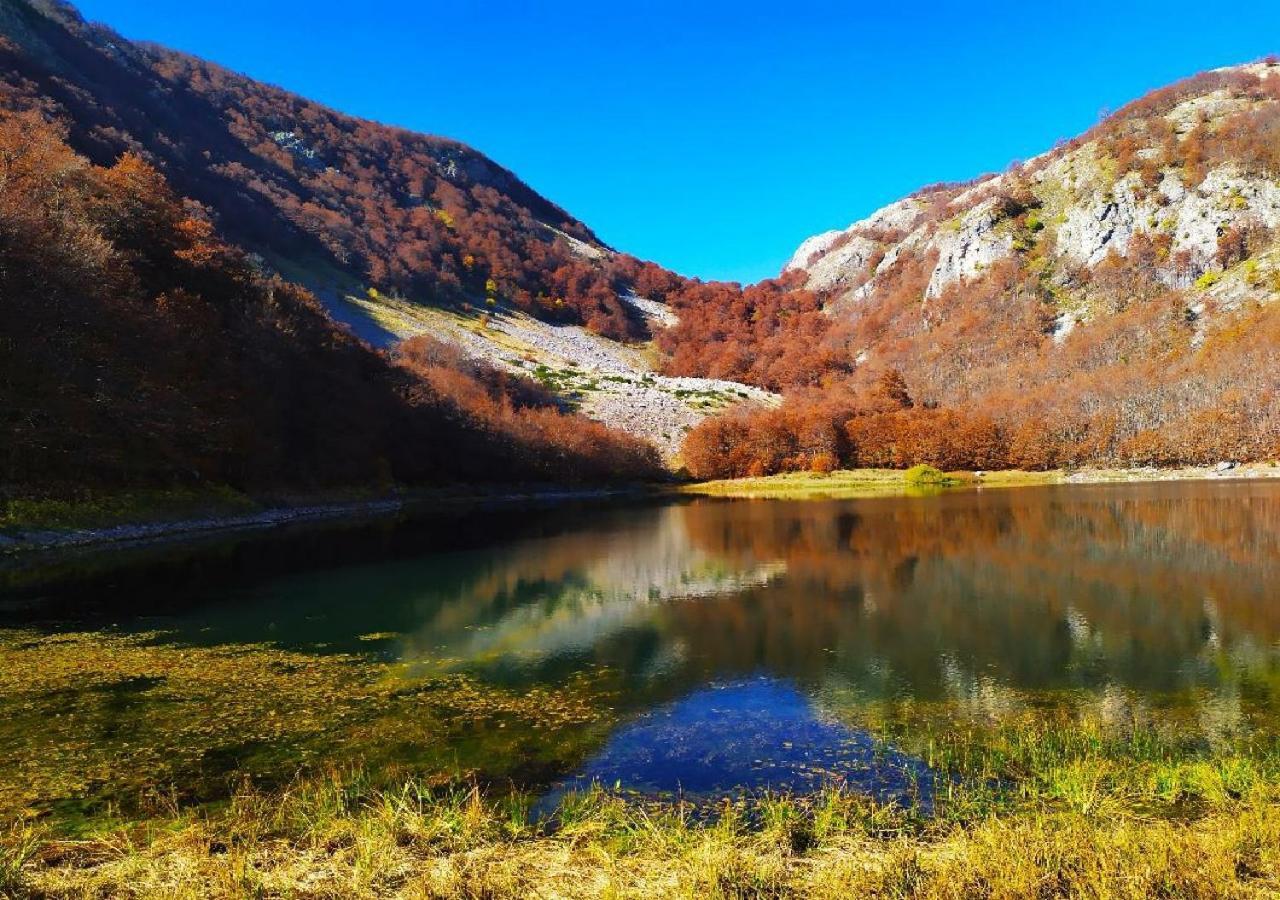 Apartments Ravno Plužine Zewnętrze zdjęcie